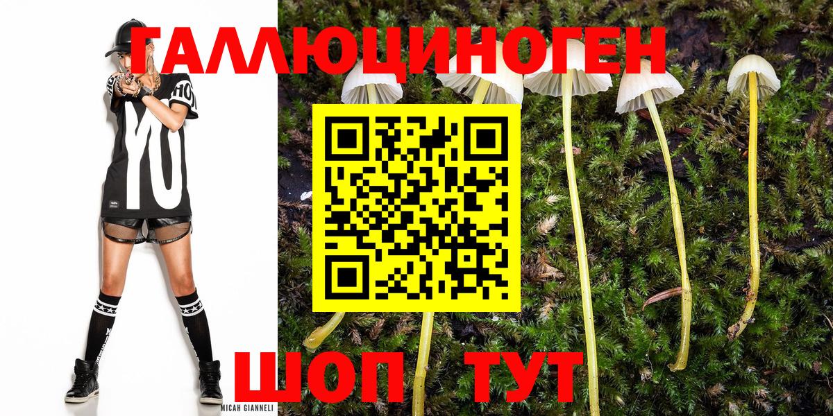 Марихуана  Бердск  ЭКСТАЗИ  Вход с VPN  Cocaine  ГАШИШ  Магазины продажи наркотиков  Меф  Меф кристаллы 