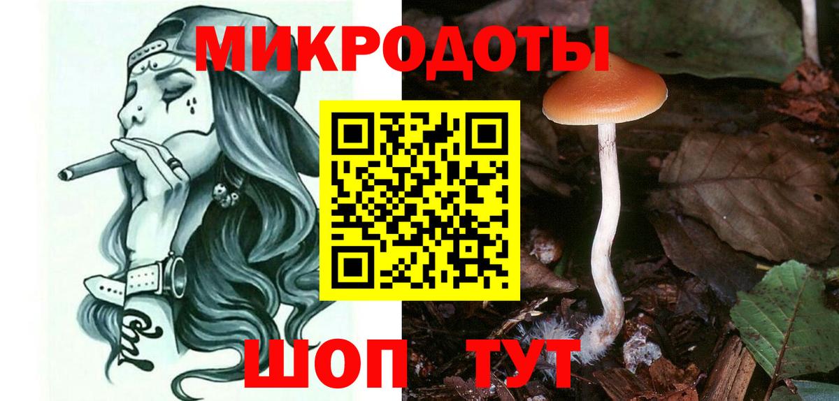 Бердск  Галлюциногенные грибы прущие грибы  Вход с VPN 