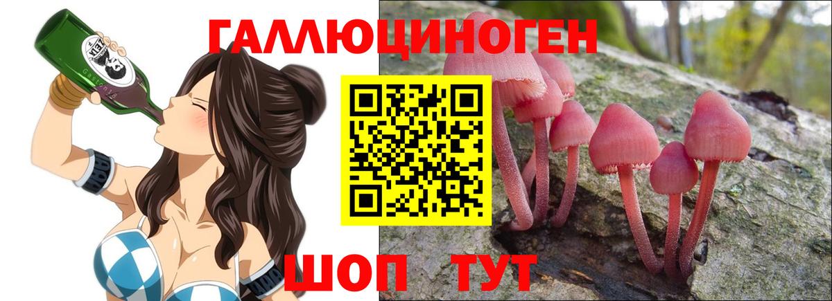 Галлюциногенные грибы Magic Shrooms Бердск